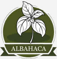 ACEITE DE OLIVA SABORIZADO CON ALBAHACA