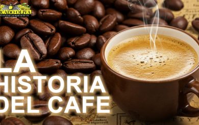 CAFE HISTORIA